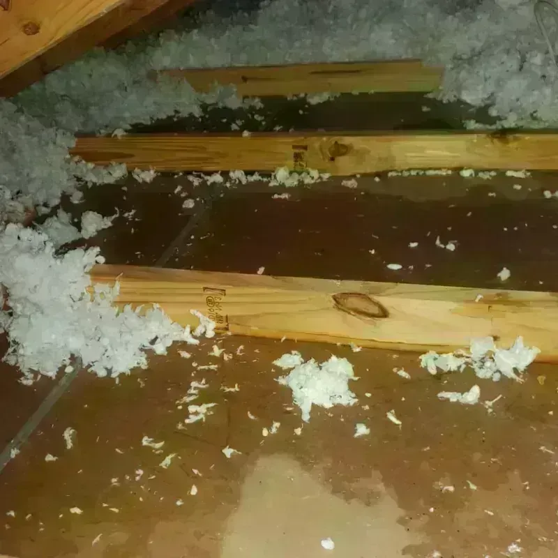 Attic Water Damage in Waller, WA